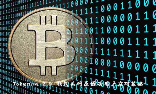 Tokenim 2.0 钱包关网原因及用户应对策略
