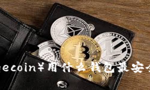 狗狗币（Dogecoin）用什么钱包最安全？完整指南