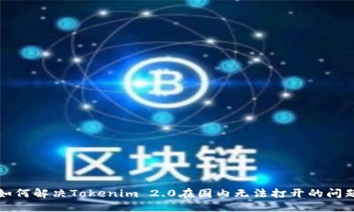 如何解决Tokenim 2.0在国内无法打开的问题