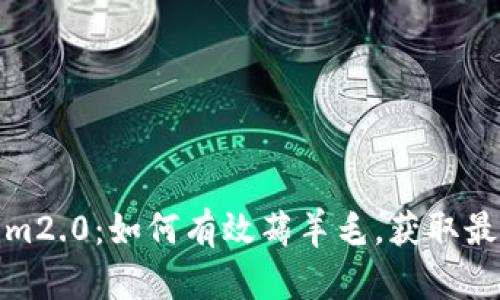 Tokenim2.0：如何有效薅羊毛，获取最大收益