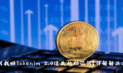 如何找回Tokenim 2.0遗失的助记词？详解解决方案