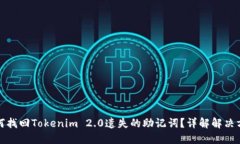 如何找回Tokenim 2.0遗失的助记词？详解解决方案