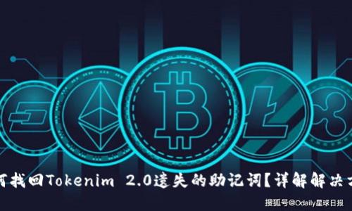 如何找回Tokenim 2.0遗失的助记词？详解解决方案