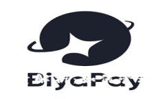 比特币钱包地址数量解析：如何管理与使用比特