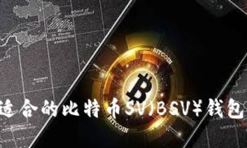 如何选择适合的比特币SV（BSV）钱包：详尽指南