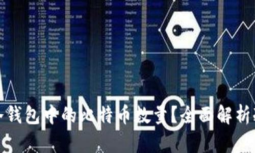 如何查看冷钱包中的比特币数量？全面解析冷钱包管理