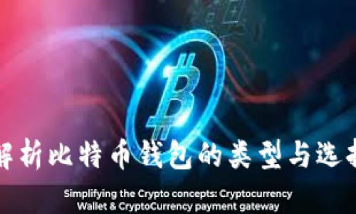 全面解析比特币钱包的类型与选择指南