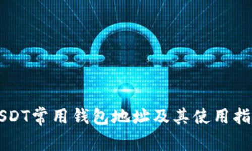 USDT常用钱包地址及其使用指南